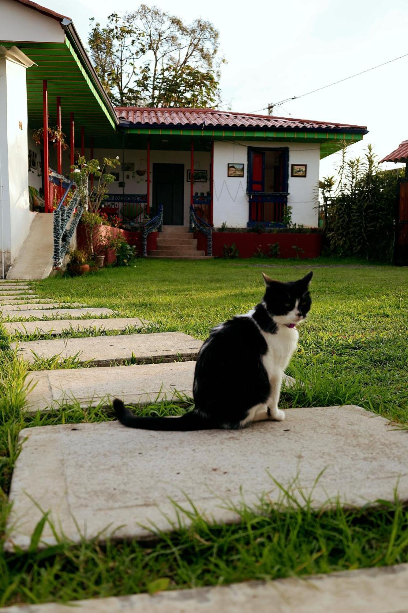 Villa Hacienda Boutique Santa Rosanna Santa Rosa de Cabal Exterior foto